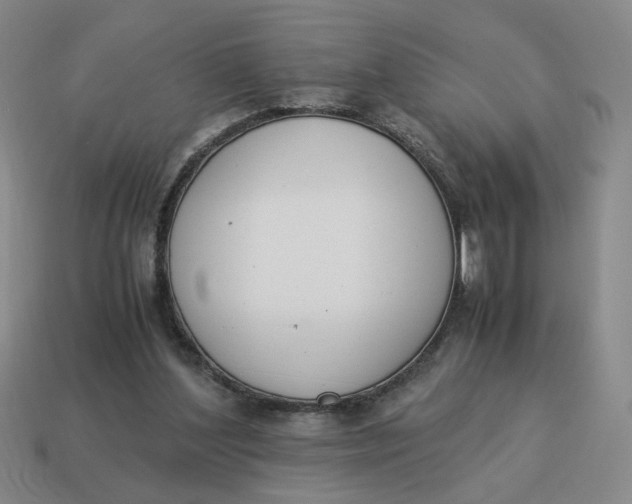 X0000114500204200911091116