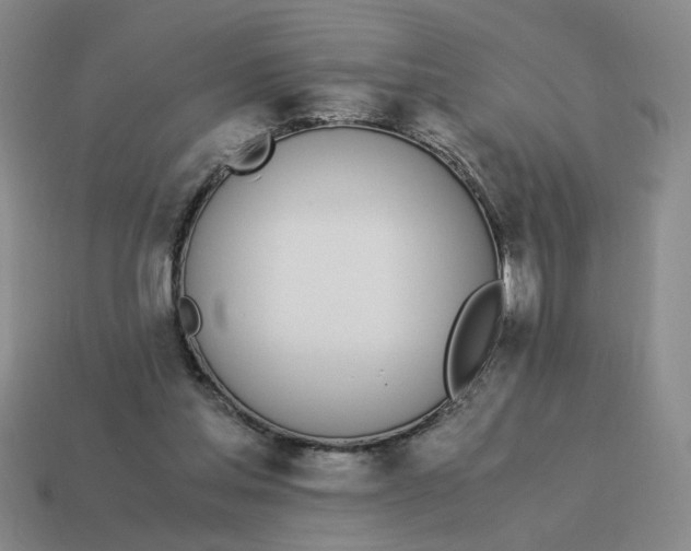 X0000114500205200911091116