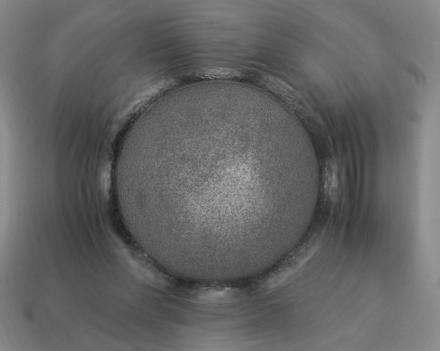 X0000114500206200911091116