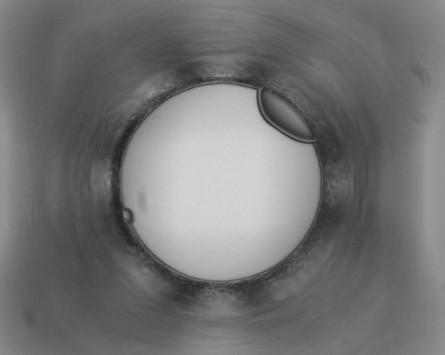 X0000114500207200911091116