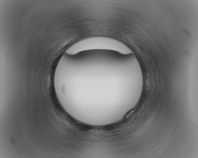 X0000114500211200911091116