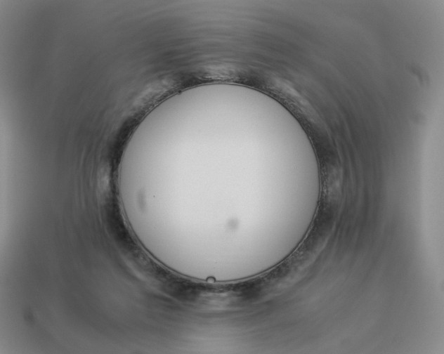 X0000114500213200911091116