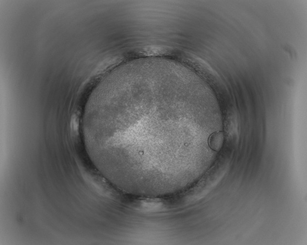 X0000114500214200911091116