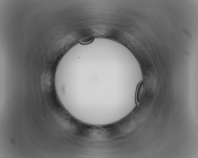 X0000114500215200911091116