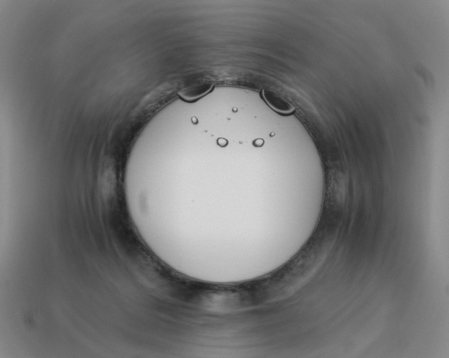 X0000114500220200911091116