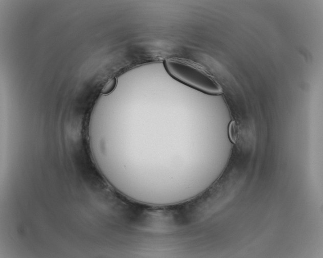 X0000114500221200911091116