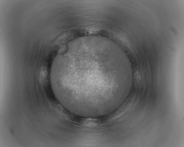 X0000114500222200911091116