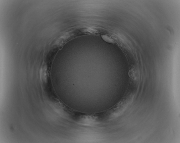 X0000114500223200911091116