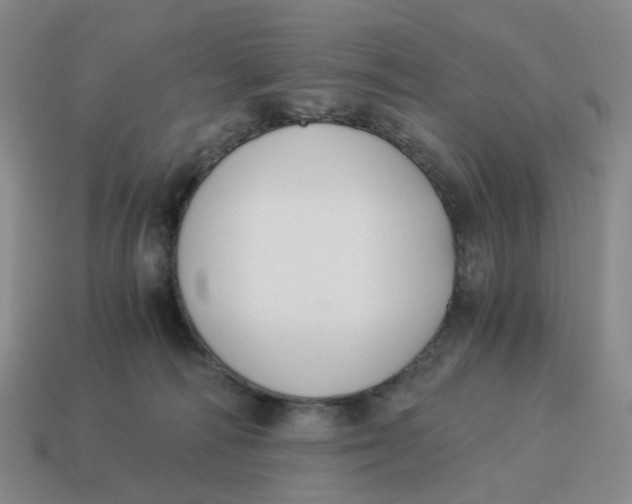 X0000114500226200911091116