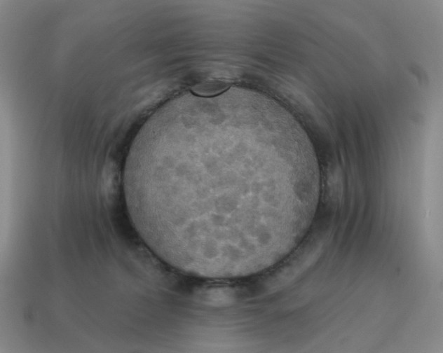 X0000114500228200911091116