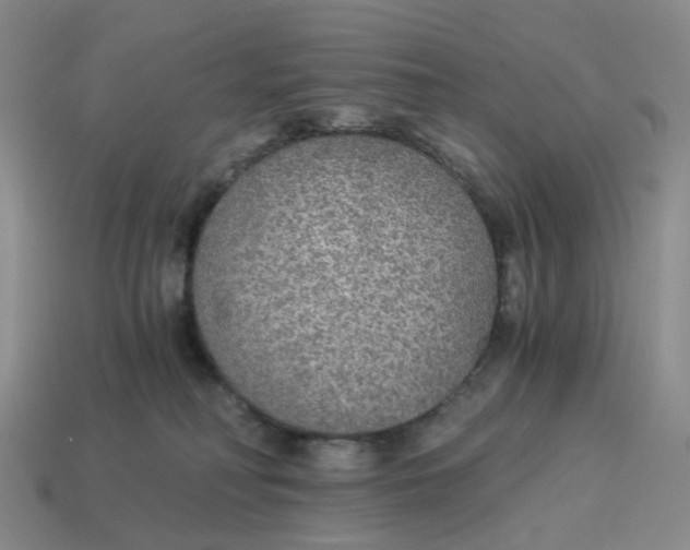 X0000114500230200911091116