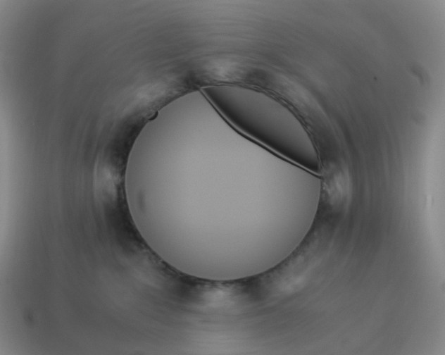 X0000114500235200911091116