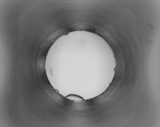 X0000114500240200911091116
