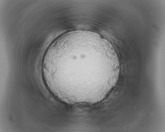 X0000114500241200911091115