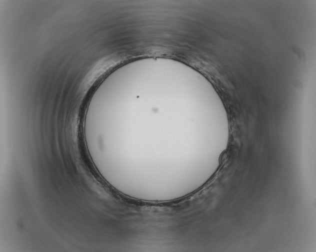 X0000114500242200911091115