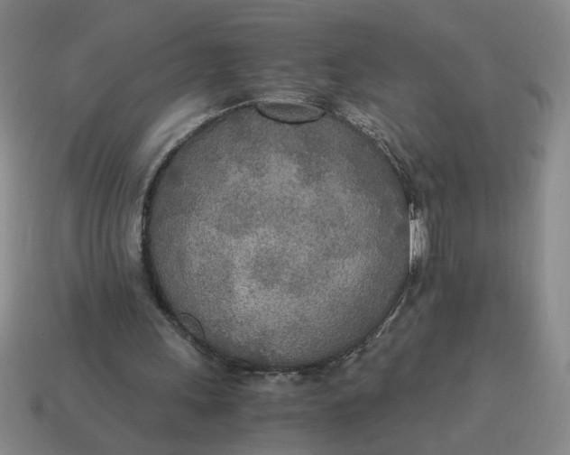 X0000114500243200911091115