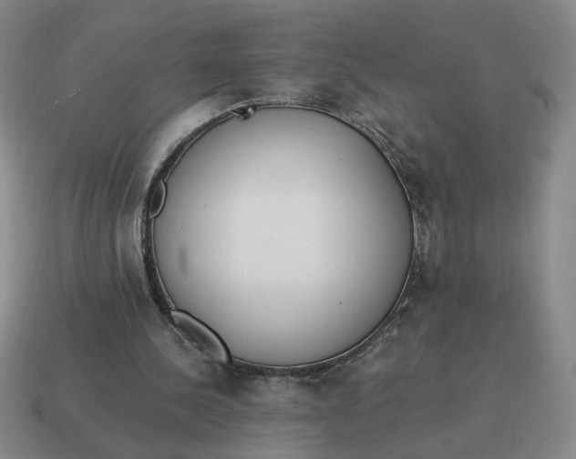 X0000114500244200911091115