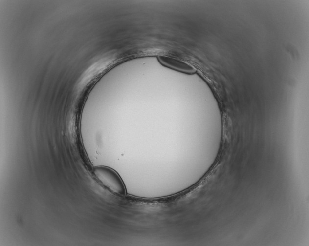 X0000114500245200911091115