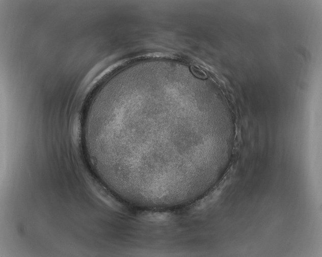 X0000114500247200911091115