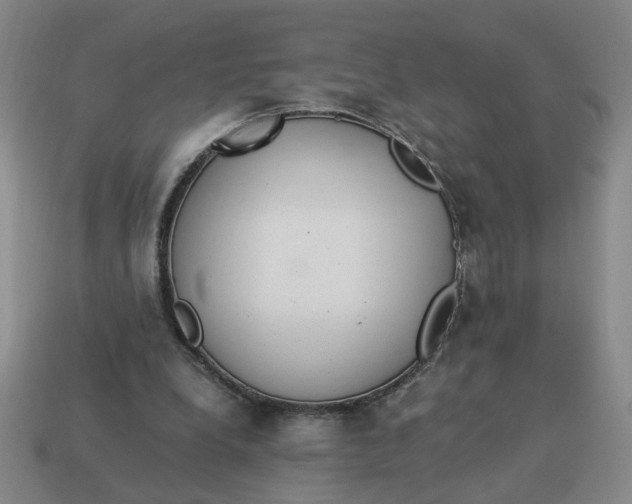 X0000114500248200911091115