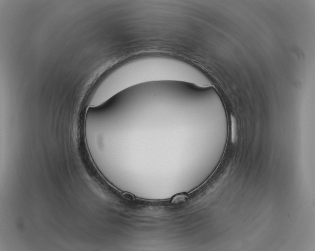X0000114500252200911091115