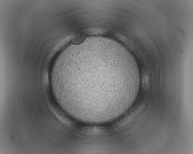X0000114500254200911091115