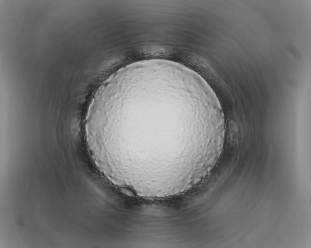 X0000114500259200911091115