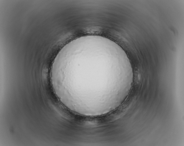 X0000114500263200911091115