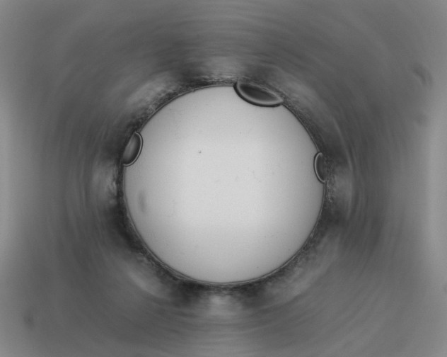 X0000114500264200911091115