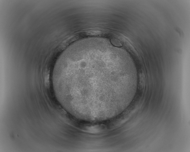 X0000114500267200911091115