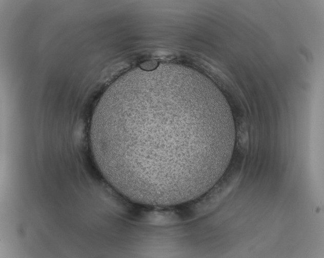 X0000114500270200911091115