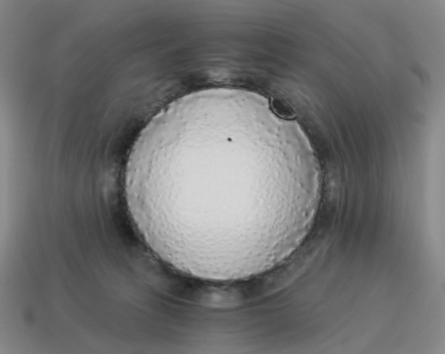 X0000114500275200911091116