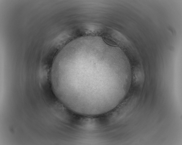 X0000114500276200911091116