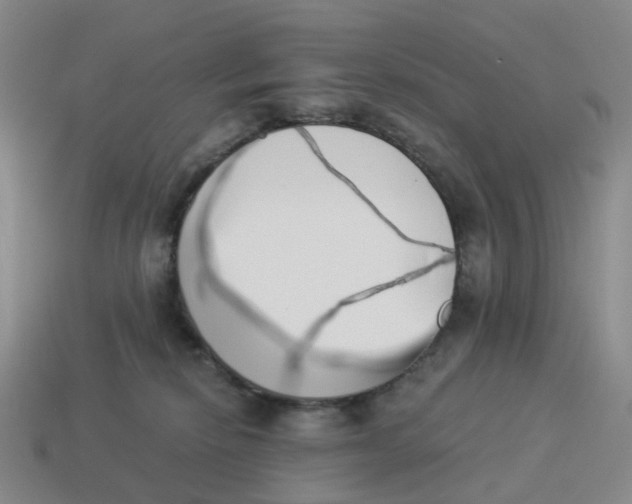 X0000114500278200911091116