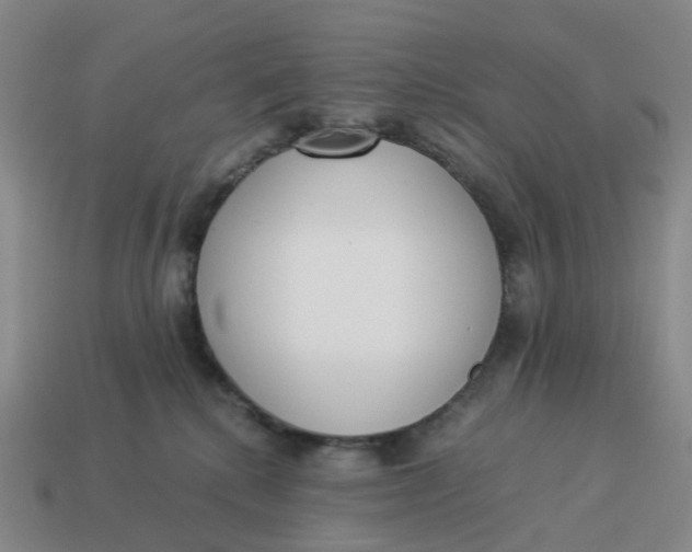 X0000114500280200911091116