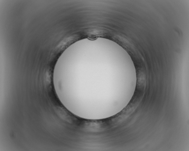 X0000114500282200911091116