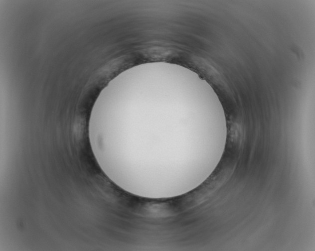 X0000114500283200911091116