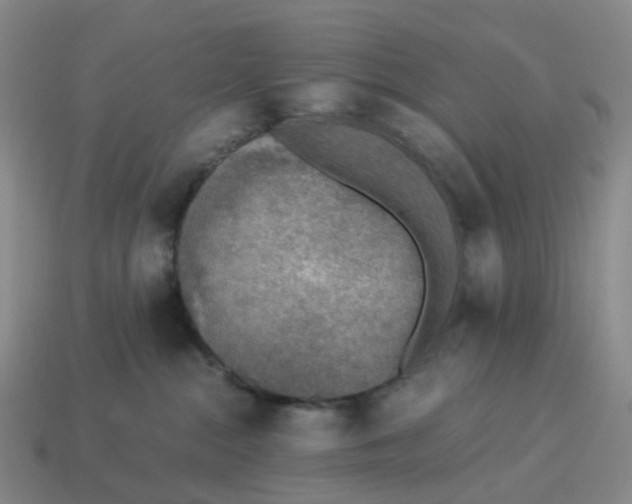 X0000114500284200911091116