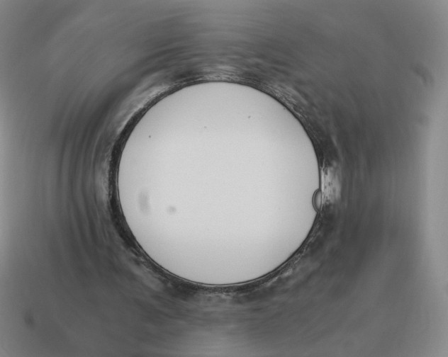 X0000114500291200911091115