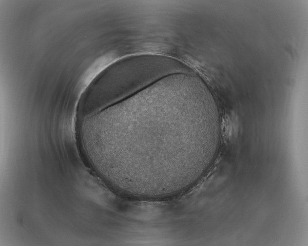 X0000114500292200911091115