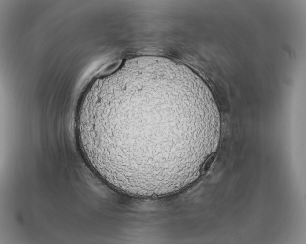 X0000114500293200911091115