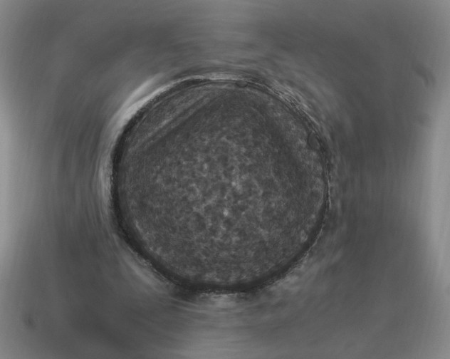 X0000114500295200911091115