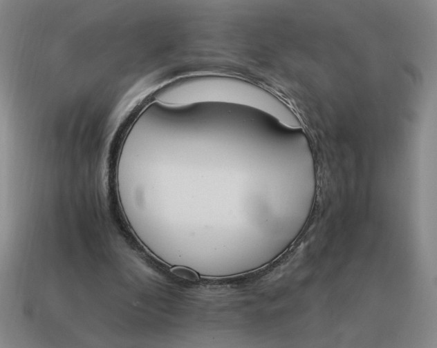 X0000114500296200911091115