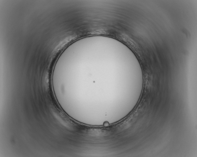 X0000114500298200911091115
