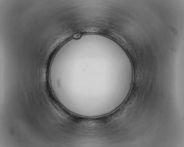 X0000114500299200911091115
