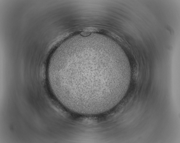 X0000114500303200911091115