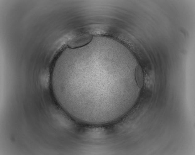 X0000114500304200911091115