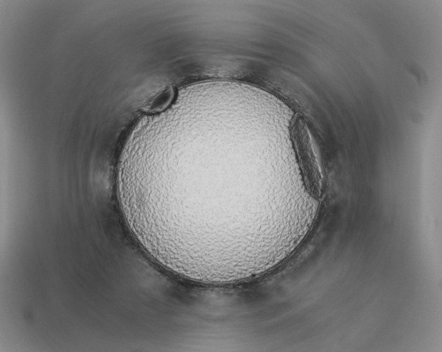X0000114500305200911091115
