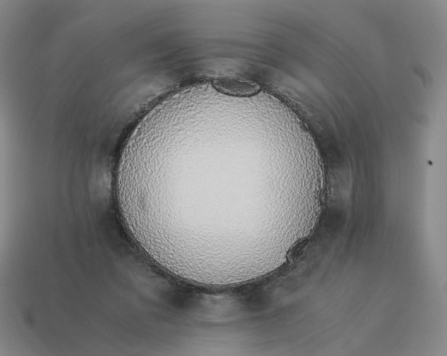 X0000114500309200911091115