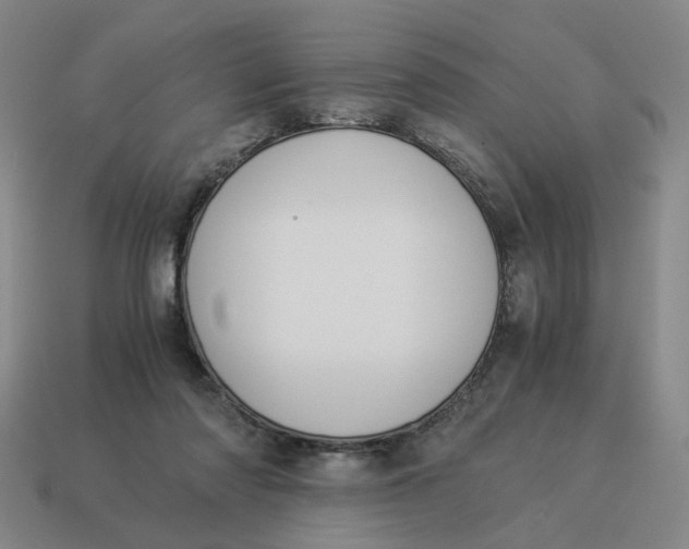 X0000114500310200911091115